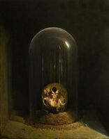 Agostino Arrivabene